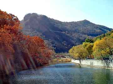 新澳天天开奖资料大全旅游团，海贼王之西门